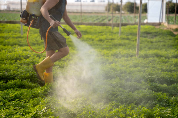 Best Commercial Pest Control Services  in Bee Ridge, FL
