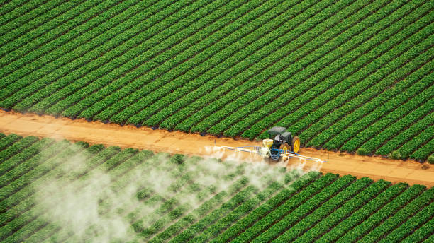 Best Best Pest Control Companies  in Bee Ridge, FL