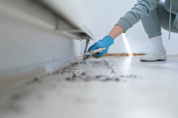 Best Pest Removal Services  in Bee Ridge, FL